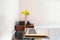 A cute budgerigar parakeet sitting on the top of a laptop screen looking down at the screen in a home office area.  Working from