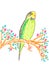 Cute budgerigar on tree branch