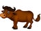 Cute buffalo cartoon