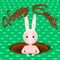 Cute bunny bathing in a meadow hole with chocolate and happy eastern text message