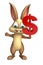 Cute Bunny cartoon character with doller sign