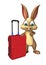 Cute Bunny cartoon character travel bag