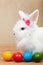 Cute bunny with colorful easter eggs