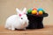 Cute bunny with easter eggs