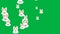 Cute bunny face icons floating from left to right side animation on green background