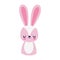Cute bunny little animal cartoon isolated design icon