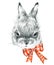 Cute Bunny. Rabbit pencil sketch illustration. T-shirt print with cute Bunny.