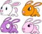 Cute Bunny Rabbit Set