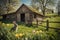 cute bunny in the rustic countryside on a sunny day with a charming barn visible in the background, peaceful countryside ambiance