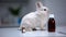Cute bunny sitting on veterinarian table among medicine bottles, vet clinic ad