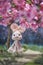 Cute bunny. Toy photography of a pink cute rabbit under the cherry blossom trees or sakura viewing festival Japanese called