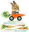 Cute bunny. wild rabbit. watercolor carrot illustration.