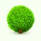 Cute bush with green leaves. Realistic spring or summer foliage, bush or hedge. Eco concept.