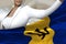 Cute business woman holds Barbados flag in front on the mall background - flag concept 3d illustration