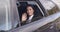 Cute business woman sitting in car waving hand