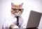 Cute busy cat with glasses. Concept of pet officer, business or office hours