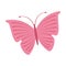 Cute butterfly pink icon