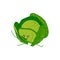 Cute cabbage cartoon character