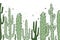 Cute cacti hand drawn sketch style landscape illustration