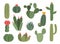 Cute cactus. Cartoon collection of decorative succulent. Home green plant with blossom. Desert exotic flora with flowers