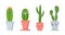 Cute cactus with faces. Succulent pot plants characters with positive emotions. Smiling tropical cacti with thorns