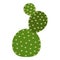 Cute cactus icon