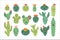 Cute cactus plants. Kawaii cacti flowers, happy face characters, summer thorn garden and houseplants. Prickly succulents