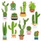 Cute cactus pots. Happy face cartoon succulent cacti funny flower smile plant lovely friends, desert garden cactuses