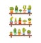 Cute Cactus and Succulent Plants on Wooden Shelves, Houseplants in Colorful Pots, Home or Office Decorative Element