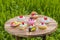 Cute cake eraser party put in a wooden table