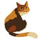 Cute calico cat vector illustration