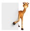 Cute Camel cartoon character with white board