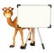 Cute Camel cartoon character with white board