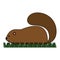 cute canadian marmot icon