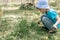 cute candid little six year old kid boy gardener and farmer with hands in gloves pull and weeding weeds wild grass