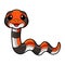 Cute cape coral snake cartoon