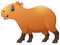 Cute capybara cartoon