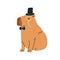 Cute capybara, gentleman animal. Funny capibara character in 19th century hat, bow tie. Adorable noble elegant capy