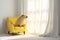 Cute capybara sitting on yellow armchair in room