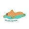 Cute capybara swimming in river with tangerines. Vector funny animal with positive phrase isolated element