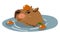 Cute capybara vector design. Capybara in the Japanese hot spring Onsen with tangerines. A capybara floating in the water