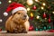 Cute capybara wearing santa hat merry, pet, background design comedian poster
