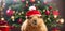 Cute capybara wearing santa hat merry, pet, background design greeting