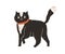 Cute careful cat walking and looking amazed and suspicious. Funny astonished domestic kitty drawn in doodle style