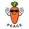 Cute carrot cartoon mascot character