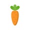 Cute carrot icon solated on white background vector illustration