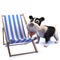 Cute cartoon 3d black and white puppy dog looking at a deck chair