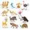 Cute cartoon african animals set. Dromedary and bactrian camels, parrot, monkey, ostrich, fennec fox, flamingo, warthog, vulture,