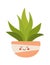 Cute cartoon aloe vera houseplant in ceramic pot flat icon