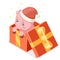 Cute cartoon baby pig cub gift box isometric chinese new year flat design vector illustration